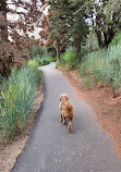 Nebo Loop National Scenic Byway