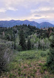 Nebo Loop National Scenic Byway