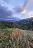 Nebo Loop National Scenic Byway