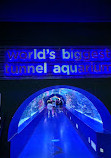 Antalya Aquarium