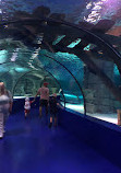 Antalya Aquarium