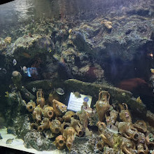 Antalya Aquarium