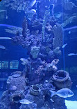 Antalya Aquarium