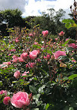 Irish National War Memorial Gardens