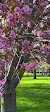 Irish National War Memorial Gardens