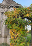 Irish National War Memorial Gardens