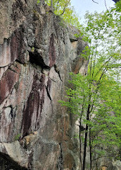 Gatineau Parkı