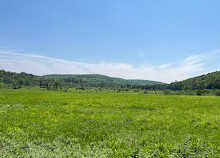 Gatineau Parkı