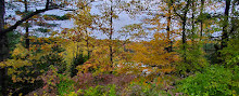 Gatineau Parkı