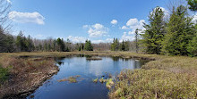 Parc de la Gatineau