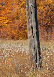 Parco Gatineau