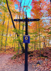 Gatineau Parkı