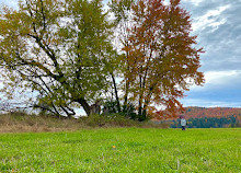 Parc de la Gatineau