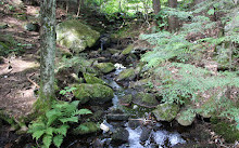 Parc de la Gatineau