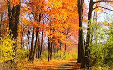 Parc de la Gatineau