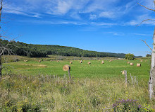 Parc de la Gatineau