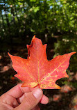 Parc de la Gatineau