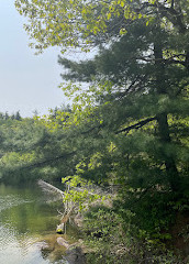 Gatineau Parkı