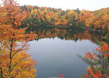 Parc de la Gatineau