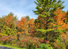 Gatineau Parkı