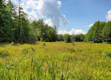 Parc de la Gatineau