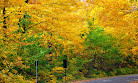 Parc de la Gatineau