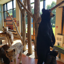 Gatineau Park Visitor Centre