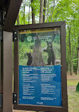 Gatineau Park Visitor Centre