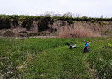 Canal Feeder Trail