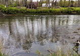 Canal Feeder Trail