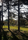 Tasmajdan Park