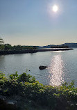 Ross Dock Picnic Area