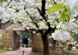 Tatton Park Country Park