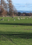 Tatton Park Country Park