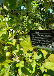 Tatton Park - Rostherne entrance