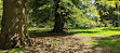 Tatton Park - Rostherne entrance