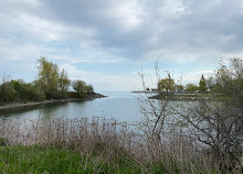 Bluffer's Park Marina