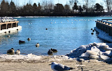 Bluffer's Park Marina