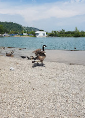 Bluffer's Park Marina