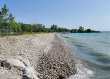 Bluffer's Park Marina