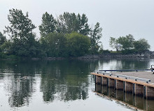 Bluffer's Park Marina