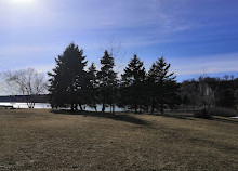 Bluffer's Park Marina