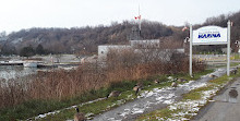 Bluffer's Park Marina