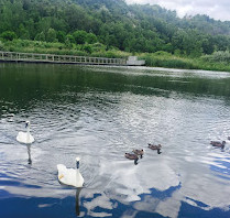 Bluffer's Park Marina