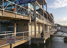 Bluffer's Park Marina