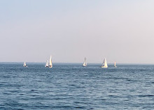 Bluffer's Park Marina