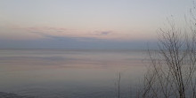 Bluffer's Park Marina