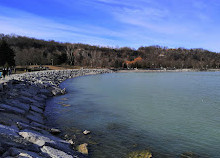 Bluffer's Park Marina