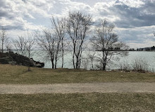 Bluffer's Park Marina