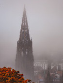 Freiburg Cathedral